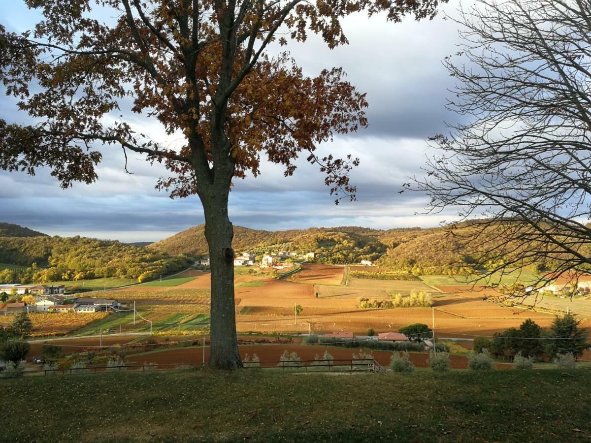 Bed and Breakfast Paglia E Fieno Villaga Exterior foto