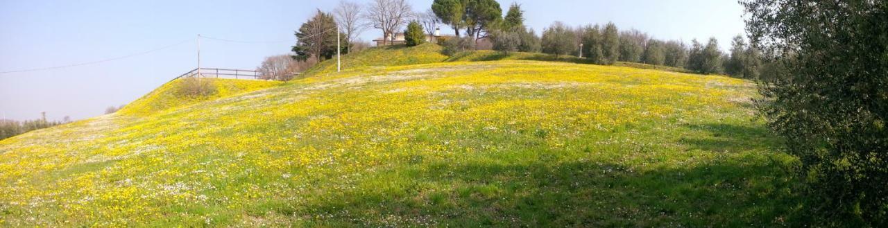 Bed and Breakfast Paglia E Fieno Villaga Exterior foto
